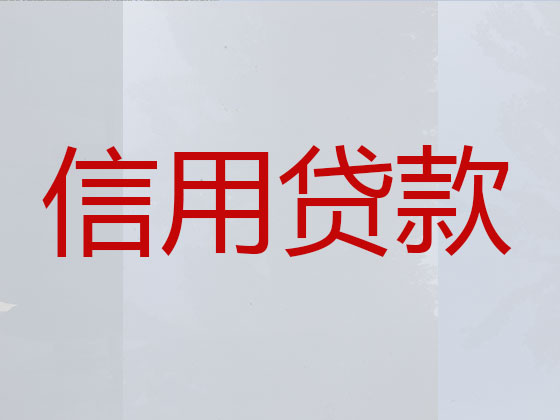 天长市贷款中介公司-信用贷款